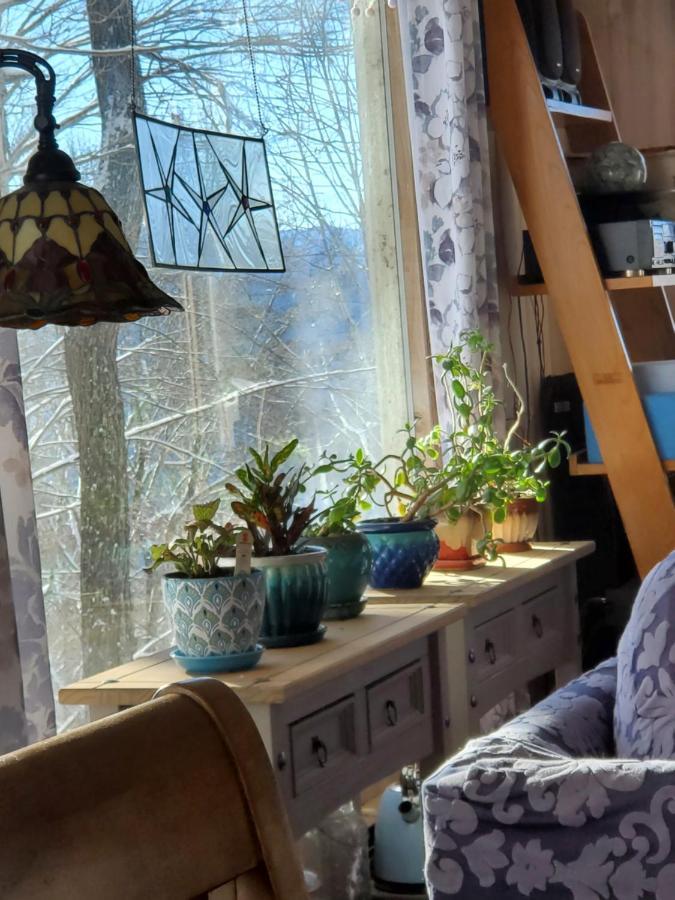 Villa Treehouse Cathedral In Blue Ridge Mountains, Nc Burnsville Exterior foto
