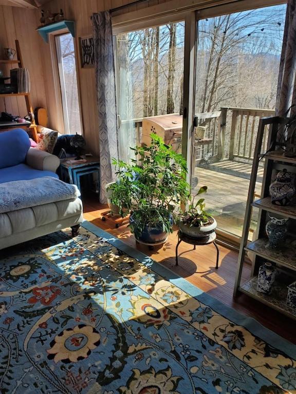 Villa Treehouse Cathedral In Blue Ridge Mountains, Nc Burnsville Exterior foto